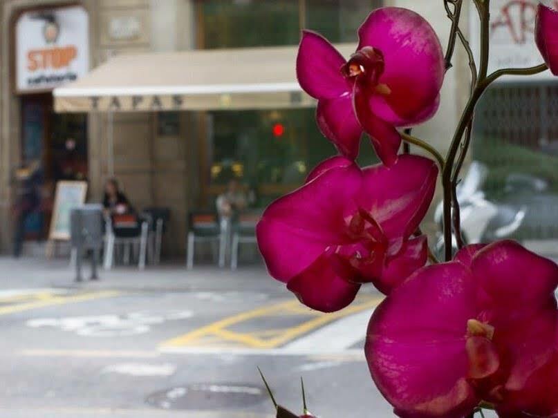 Hotel Sansi